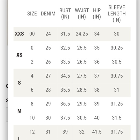 NWOT Cleo+Wolf sweatshirt - Picture 4 of 4